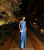 Sexy Sheath Blue Prom Gowns Prom Dresses