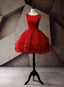 Short Homecoming Dress Organza Homecoming Dress Lace Homecoming Dresses