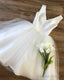 Short V Neck Wedding Dresses Tulle