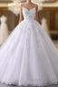 Spaghetti Straps V Neck Wedding Dresses With Lace Appliques