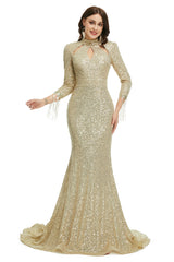 Long Prom Dresses, Full Sleeve Dresses, Party Dress, 2023 Formal Gowns