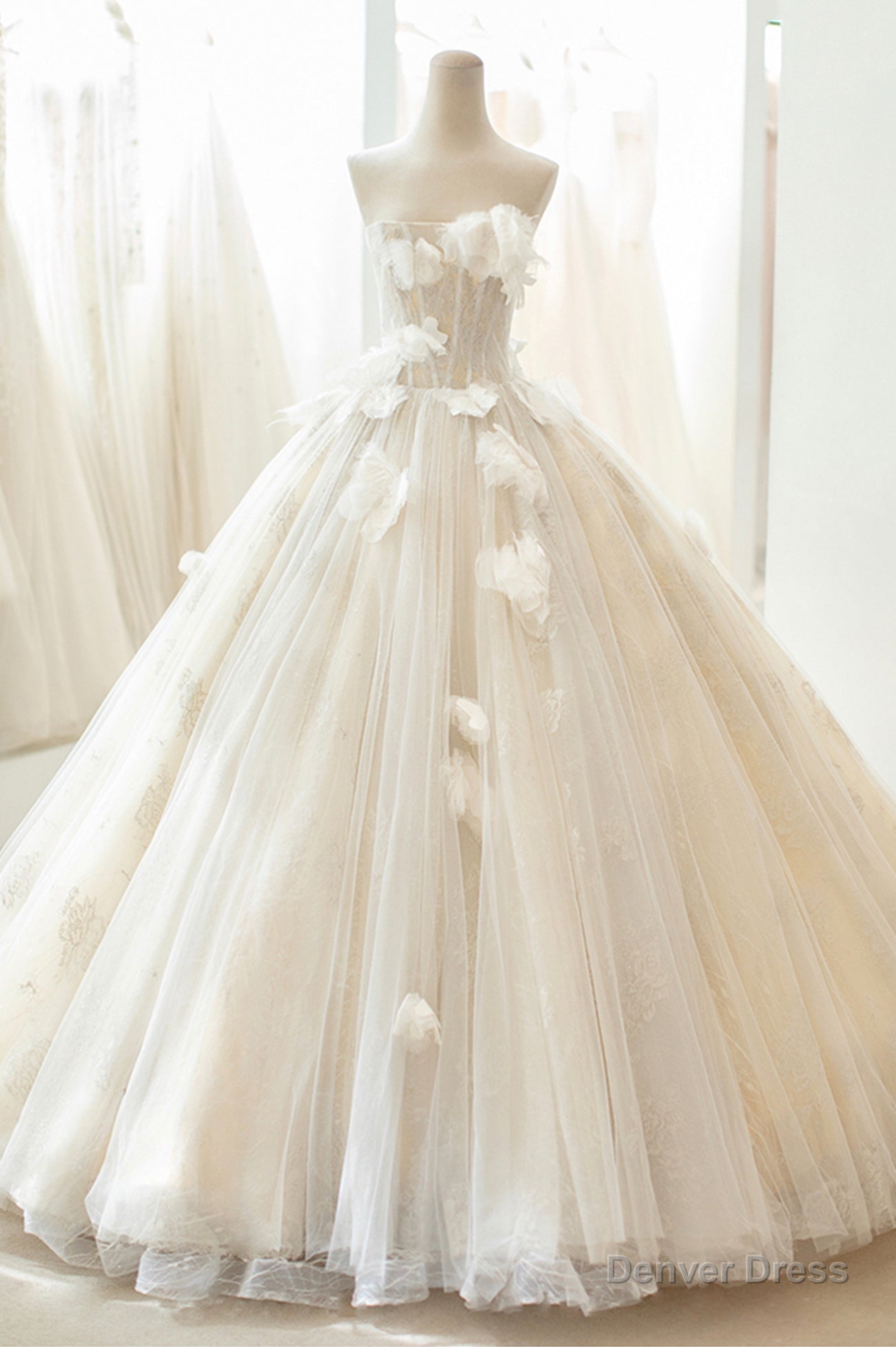 Champagne Tulle Lace Long Formal Dress, A-Line Evening Gown Secondary image