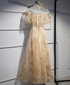 Champagne Tulle Lace Long Prom Dresses, Champagne Formal Dresses, 1