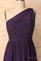 Elegant One Shoulder Plum Bridesmaid Dresses