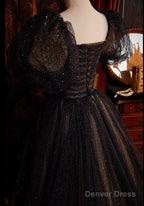 A-Line Black And Champagne Tulle Long Party Dress, Tulle Prom Dress Evening Dress