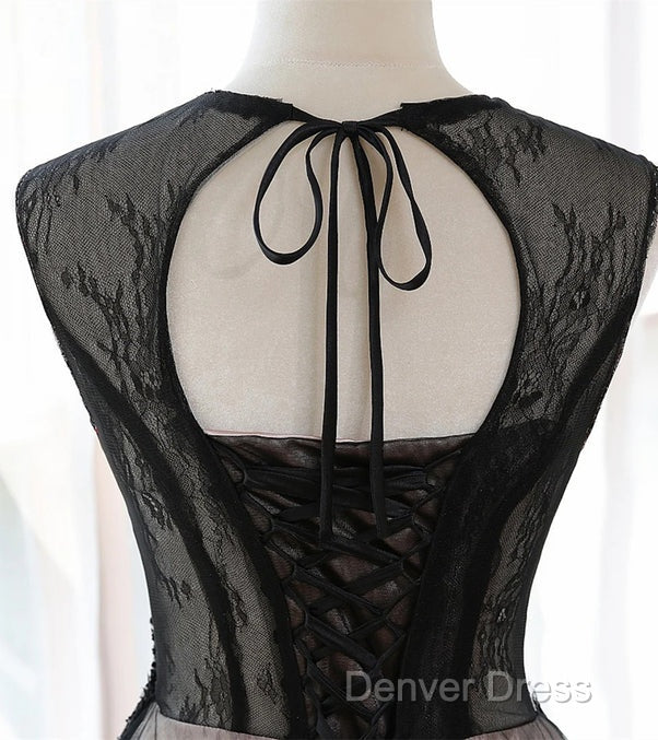 A-Line Tulle With Lace Round Neckline Floor Length Party Dresses Black Prom Dresses Formal Dresses