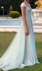 Baby Blue A Line Exquisite Beaded Tulle Prom Dress Wedding Guest Dresses