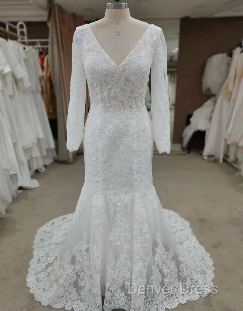 Backless Bohemian Simple V-Neck Long Sleeve Lace Wedding Dresses With Train