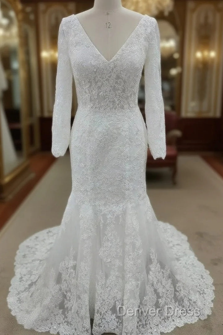 Backless Bohemian Simple V Neck Long Sleeve Lace Wedding Dresses With Train Main image