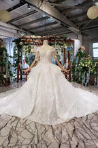 Ball Gowns Half Sleeves Lace Bridal Dress With Sequins, Princess Long Wedding Dresses