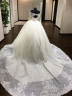 Ball Gowns Off The Shoulder Cathedral Train Tulle Wedding Dresses With Appliques Lace