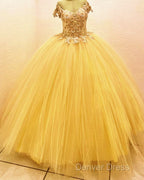 Ball Gown V Neck 3D Flowers Tulle Dresses