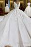 Ball Gown V-neck Wide Strap Short Train Tulle Applique Wedding Dresses