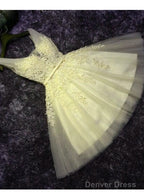 Beautiful V-Neckline Party Dress, Tulle Formal Dresses With Applique For Senior Prom Party