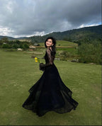 Black Lace Sexy A Line Long Sleeve Prom Dress Prom Gowns