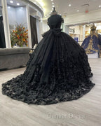 Black quinceanera Dresses Ball Gown Prom Dresses Evening Gown