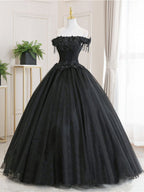 Black Tulle Lace Long Prom Dresses, Black Tulle Lace Evening Dresses