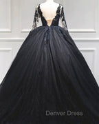 Black Tulle Sheer Neck Appliques Ball Gown Dresses