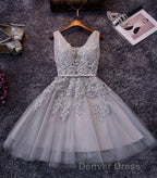 Blush Pink Lace Appliqued Tulle Homecoming Dress,Prom Dresses