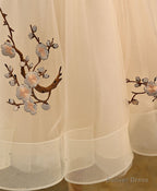 Champagne A Line Tulle Short Prom Dress, Homecoming Dresses