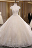 Champagne Ball Gowns Tulle Beading Backless Wedding Dresses