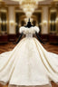 Champagne Ball Gown Tulle Off the Shoulder Appliques Beading Wedding Dresses