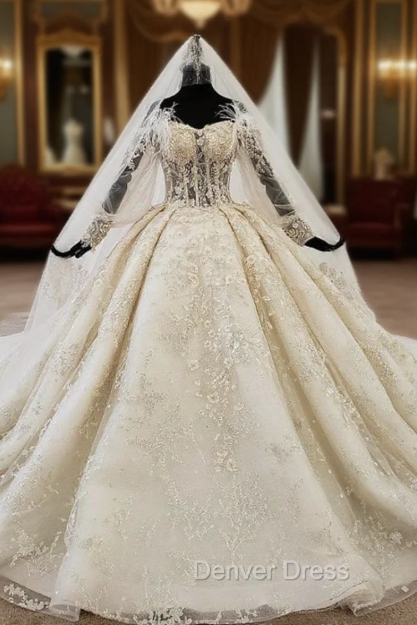 Champagne Ball Gown Tulle Off the Shoulder Beading Appliques Long Sleeve Wedding Dresses Main image