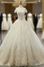 Champagne BallGowns Tulle Appliques Off The Shoulder Wedding Dresses