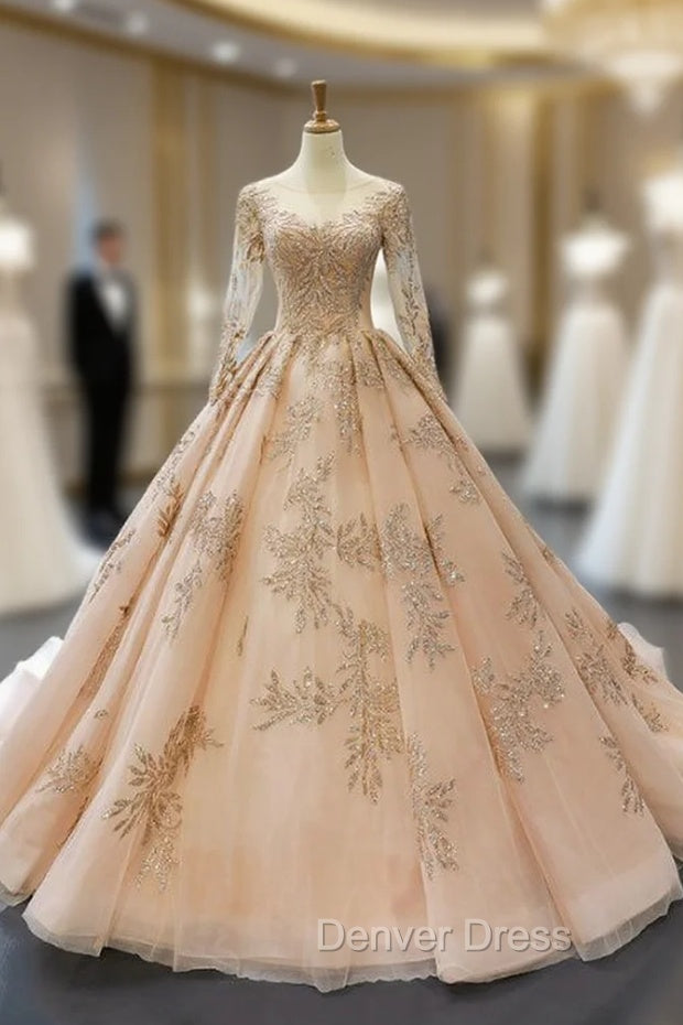 Champagne Gold Ball Gowns Tulle Backless Long Sleeve Quinceanera Dresses