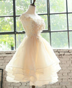 Champagne Lace Tulle Short Prom Dress, Homecoming Dresses