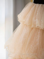Champagne Sweetheart Neck Tulle Long Prom Dresses, Champagne Formal Dresses