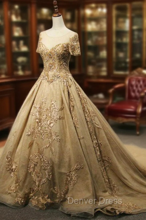 Champagne Tulle Embroidery Short Sleeve Backless Haute Couture Wedding Dresses Main image