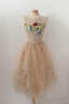 Champagne Tulle Homecoming Dresses
