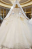 Champagne Tulle Long Sleeve Appliques Beading Wedding Dresses