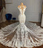 Charming Jewel Garden Sleeveless Mermaid Lace Wedding Dress with Appliques