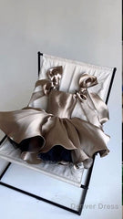 Chic Ball Gown Brown Homecoming Dress 16Th Birthday Outfits