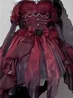 Chic High Low Halter Burgundy Organza Prom Dresses Birthday Outfits