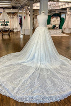 Chic Long A Line V Neck Floral Lace Open Back Wedding Dresses