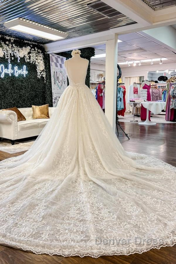 Chic Long A Line V Neck Floral Lace Open Back Wedding Dresses