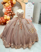 Coffee Beaded Quinceanera Dresses Sexy Spaghetti Neck Appliqued 3D Floral Sweet 16 Princess Ball Gowns Pageant Gown Vestido
