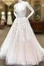 Elegant Ivory Lace Embroidery  Champagne Tulle Wedding Dresses V Neck