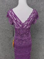 Elegant Purple V-Neck Lace Long Prom Dresses Evening Dresses
