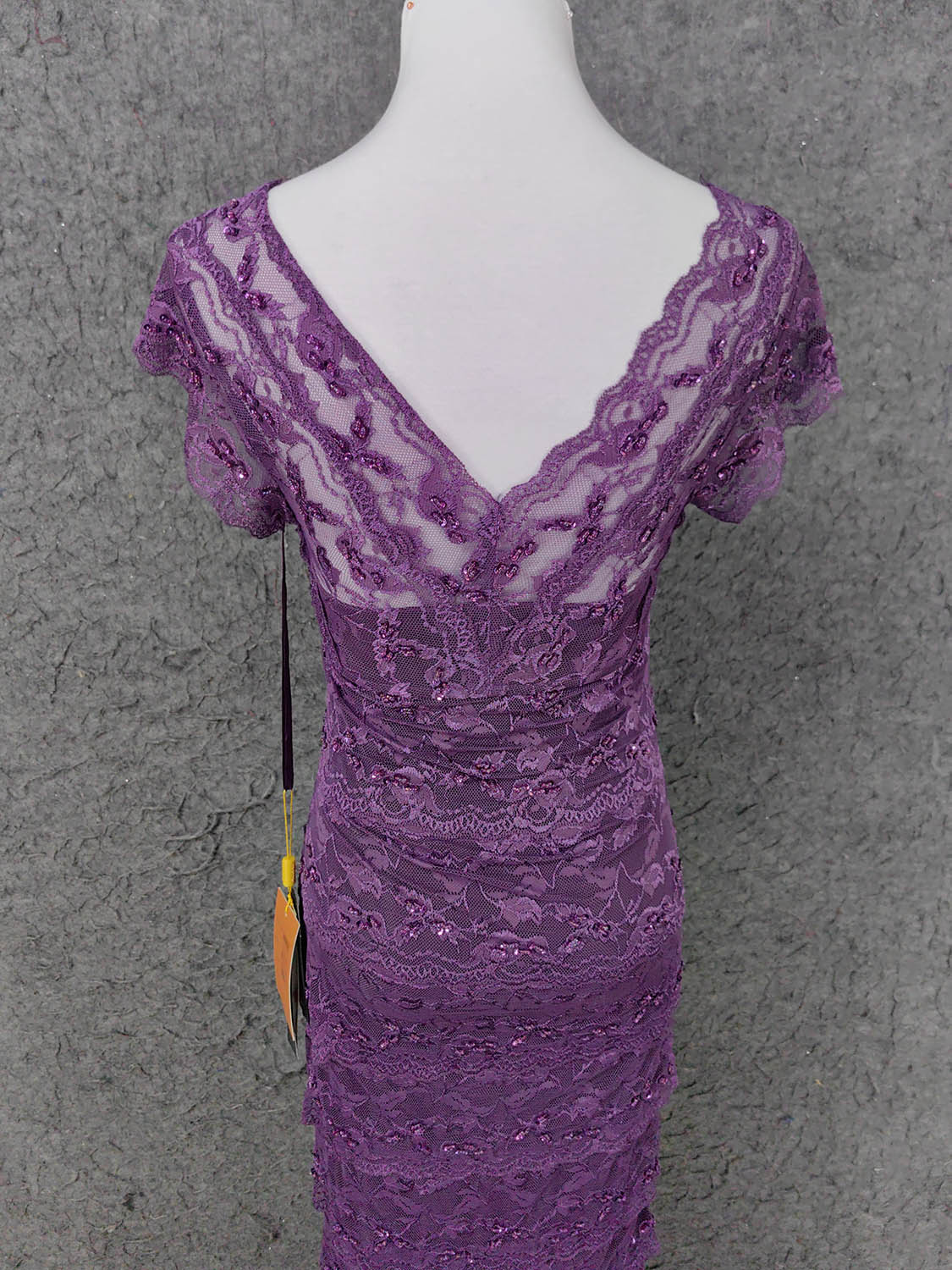 Elegant Purple V-Neck Lace Long Prom Dresses Evening Dresses