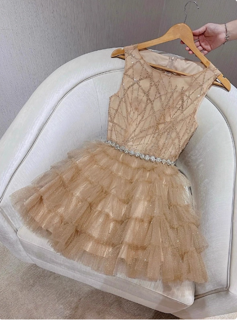 Elegant Round Neck Champagne Tulle Cake Birthday Short Skirt Homecoming Dresses