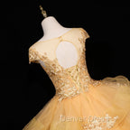 Gorgeous Champagne Ball Gowns Sweet 16 Gowns with Lace, Flowers Lace Prom Dresses