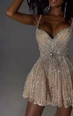 Gorgeous Tulle Beaded A Line Cocktail Dress Champagne Short Homecoming Dresses