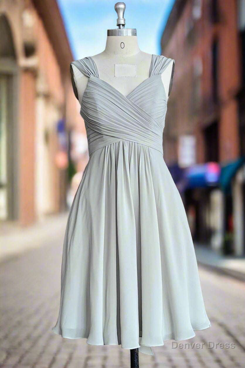 Grey A-Line Pleated Chiffon Bridesmaid Dresses Main image