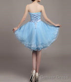 Light Blue Lace And Organza High Low Dress, High Low Prom Dress, Cute Teen Dresses