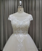 Light Champagne Tulle Lace Long Wedding Dress Lace Bridal Dresses