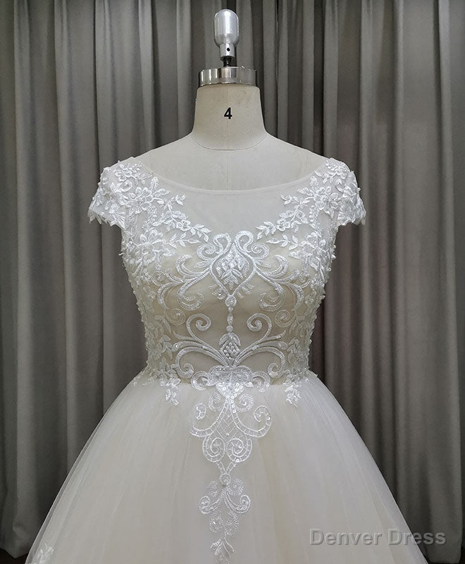 Light Champagne Tulle Lace Long Wedding Dress Lace Bridal Dresses